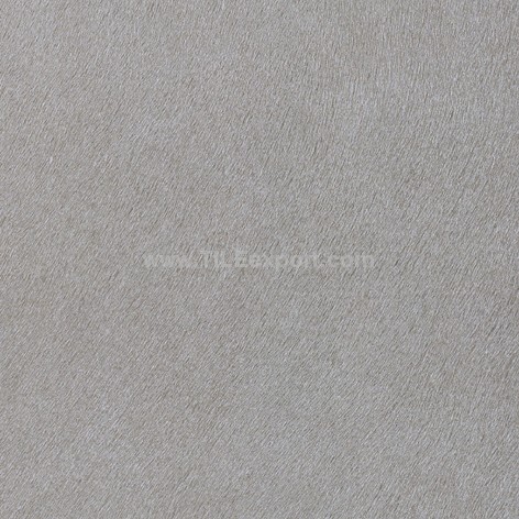 Floor_Tile--Ceramic_Tile,600X600mm[HT],H6921